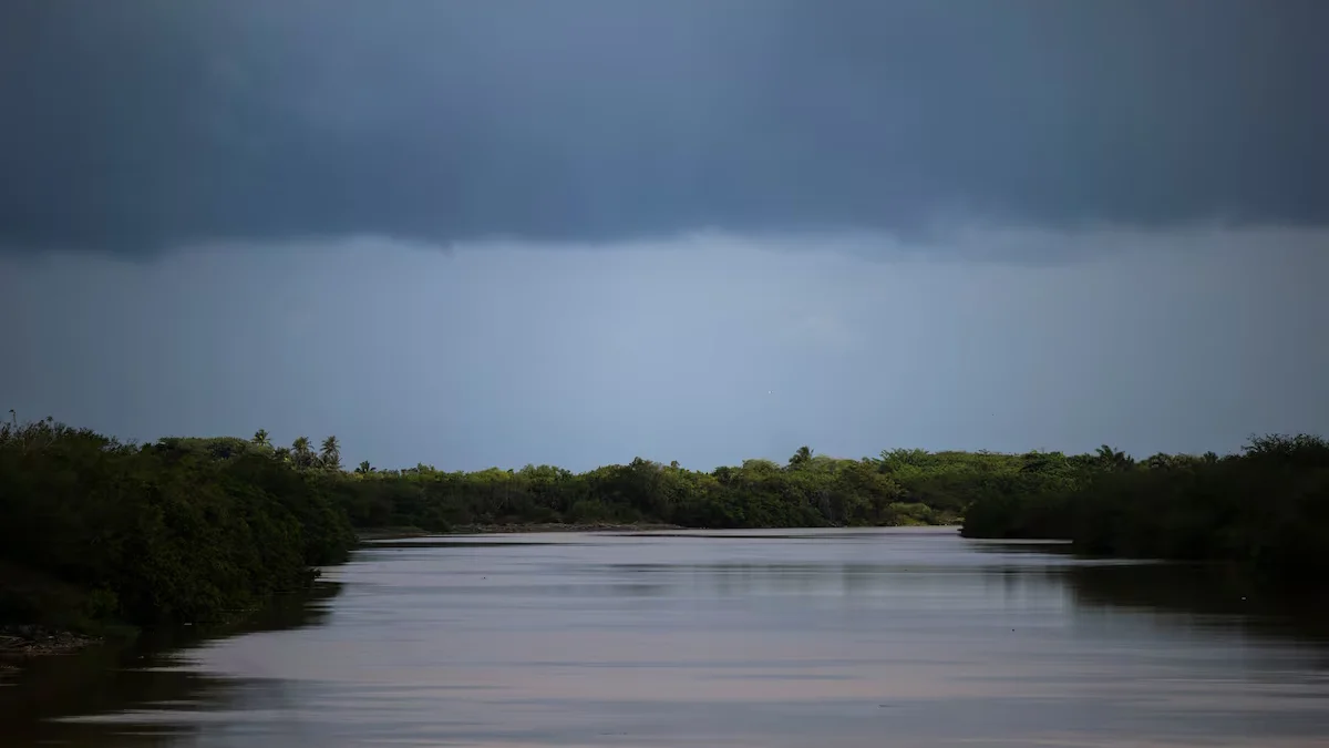 Altamente contaminados una tercera parte de los cuerpos de agua en Puerto Rico